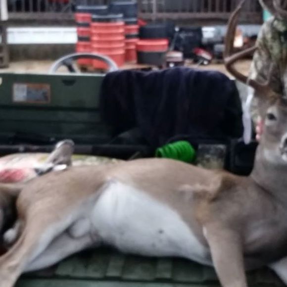 Meet your Posher, Jeff - Picture 1 of 1